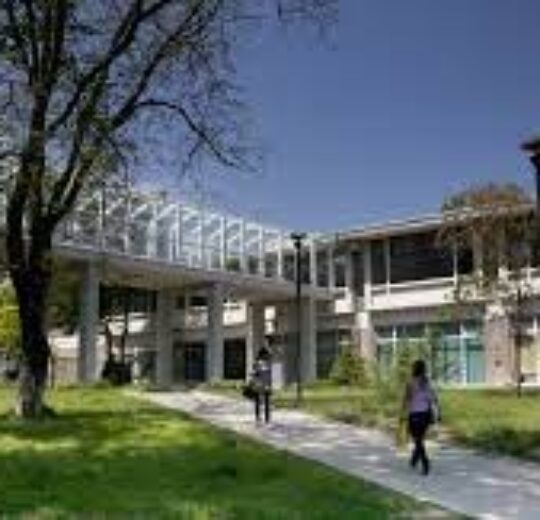 Mihaela P&Icirc;NZARIU